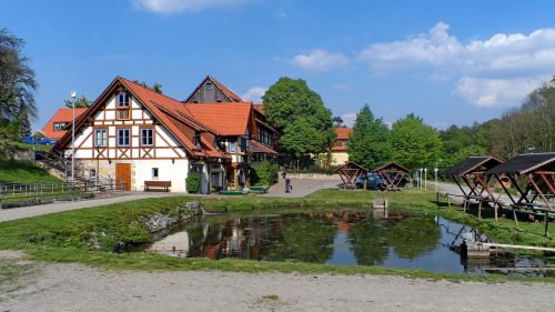 Auginimas, Tvenkinys, Fischer Vienuolynas, Vietos, Blankenburg In Harz, Gamta