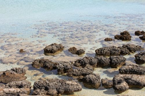 Raudoni Dangteliai, Australia, Stromatolitas, Kranto, Vanduo