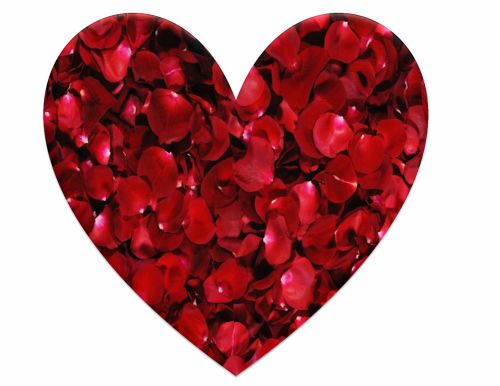 Širdis,  Raudona,  Rožė,  Žiedlapiai,  Valentine,  Kortelė,  Vintage,  Dizainas,  Menas,  Atrodo,  Viešasis & Nbsp,  Domenas,  Raudona Žiedlapių Širdis