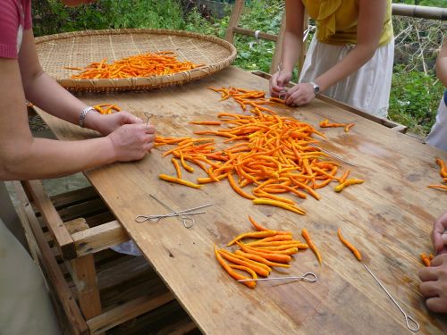 Paprika, Geltona Gong Pipiras, Natūralus