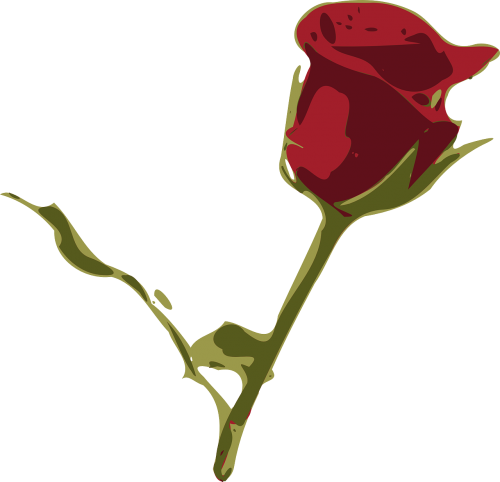 Raudona Roze, Rožė, Gėlė, Raudona, Rosa, Augalas, Nemokama Vektorinė Grafika