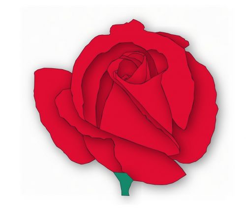 Raudona Roze, Rožė, Raudona, Rožė, Gėlė, Valentines, Augalas, Gražus