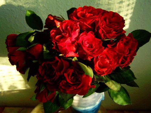 Raudona Roze, Puokštė, Gėlė, Moterų Diena