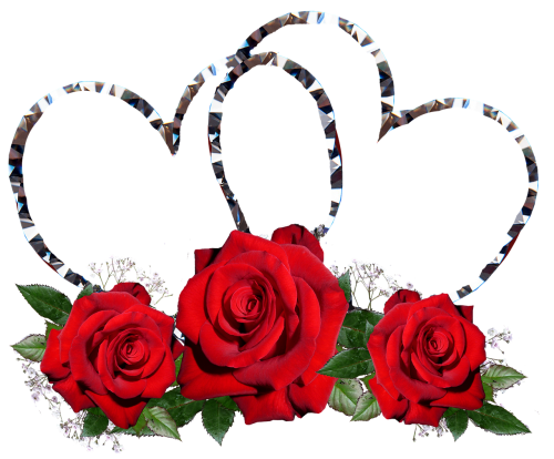 Raudonos Rožės,  Širdis,  Valentine,  Romantika,  Be Honoraro Mokesčio