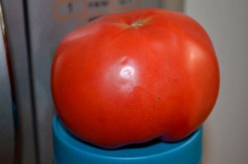 Pomidoras,  Pomidorai,  Raudona,  Prinokę,  Sultingas,  Rūgštis,  Vaisiai,  Augalas,  Lycopersicon,  Sodas,  Virimo,  Daržovių,  Raudonas Pomidoras