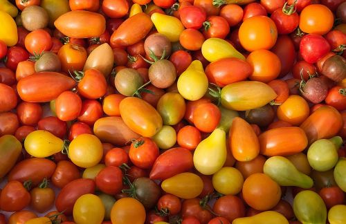 Raudoni Pomidorai, Geltoni Pomidorai, Apvalūs Pomidorai, Pailgi Pomidorai, Maistas, Sveikas, Vegetariškas
