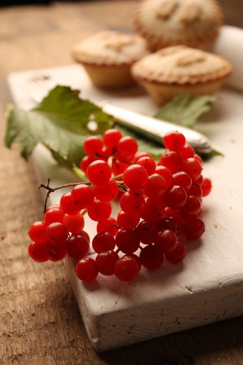 Raudonieji Serbentai, Malto Pyragas, Kalėdos