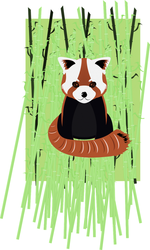 Raudonoji Panda, Bambukas, Vektorius, Firefox, Nemokama Vektorinė Grafika