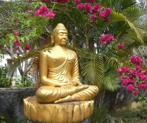 Religija, Tikėjimas, Buda, Auksas, Poilsis, Meditacija