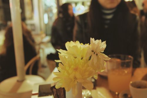 Restoranas, Stalas, Gėlės, Vazos, Žmonės