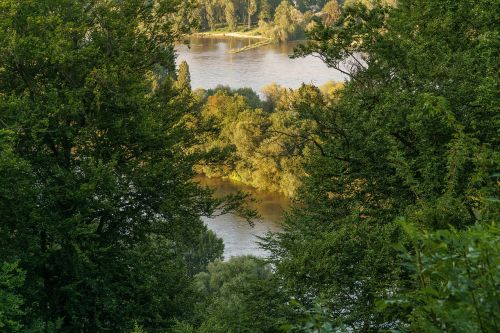 Rinas, Medžiai, Abendstimmung, Saulėlydis, Kraštovaizdis, Miškas, Gamta, Upė, Vanduo, Geltona