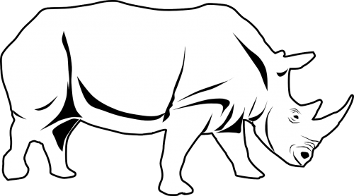 Rhino, Afrika, Gyvūnas, Pietų Afrika, Laukinė Gamta, Nemokama Vektorinė Grafika