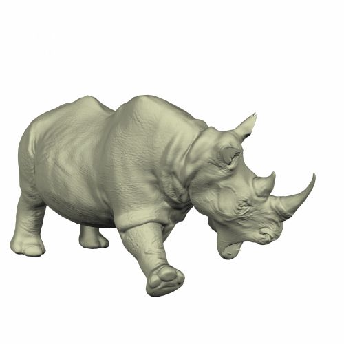 3D,  Piešimas,  Rhino,  Hatari,  Afrika,  Laukiniai,  Gyvūnas,  Raganos,  Stiprus,  Ragai,  Vaikščioti,  Oda,  Pilka,  Rhino Vaikščiojimas