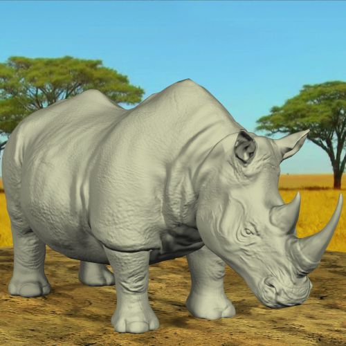 Rhino,  Raganos,  3D,  Piešimas,  Afrika,  Laukiniai,  Gyvūnas,  Kraštovaizdis,  Medžiai,  Raganos