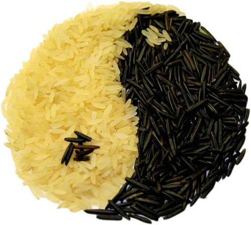 Ryžiai, Yin Ir Yang, Valgyti, Maistas, Valgomieji, Aisén