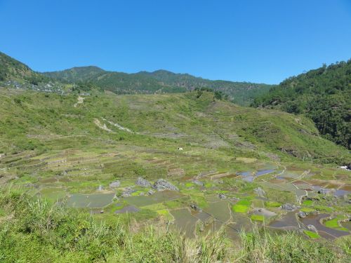 Ryžių Laukai, Ryžių Terasos, Laukai, Žemės Ūkio Paskirties Žemė, Filipinai, Kaimas