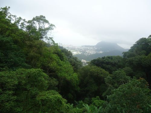 Rio De Janeiro Žalia, Corcovado, Brazilija , Royalty Free