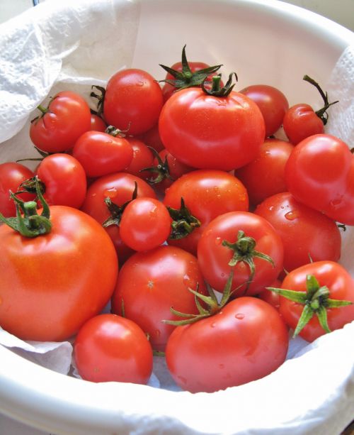 Pomidorai,  Maistas,  Derlius,  Raudona,  Sodas,  Sodininkystė,  Virimo,  Valgymas,  Ekologiškas,  Šviežias,  Ūkininkų & Nbsp,  Rinka,  Pomidoras,  Prinokusių Raudonųjų Pomidorų