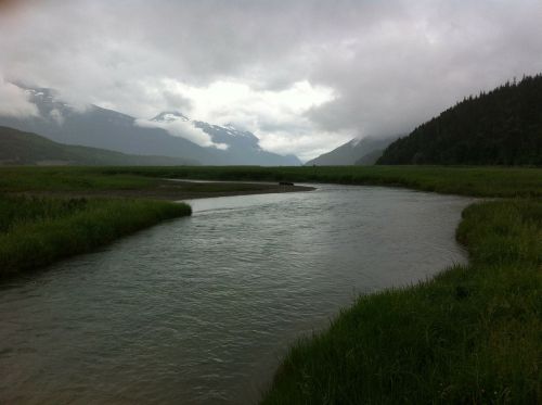 Upė, Alaska, Kraštovaizdis, Dykuma, Peizažas, Natūralus, Laukiniai, Lauke, Aplinka, Vaizdingas, Žemė, Gamta
