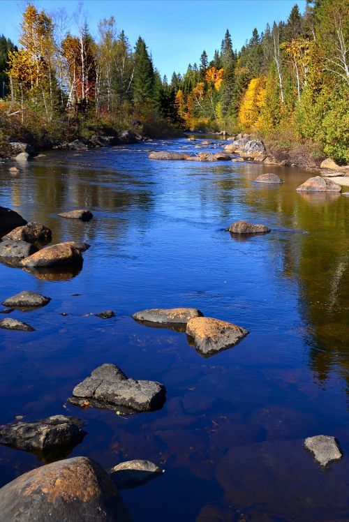 Upė, Rudens Kraštovaizdis, Gamta, Vanduo, Medžiai, Akmenys, Spygliuočių, Apmąstymai, Spalvos, Québec, Kanada