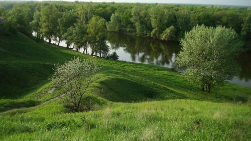 Upė, Pavasaris, Medžiai