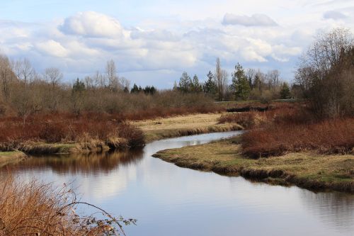 Upė, Dangus, Žolė