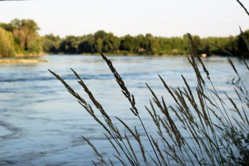 Upė, Vanduo, Srautas, Žolė, Vakaras, Lauke, Kaimas