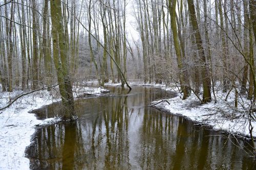Upė, Žiema, Sniegas, Pasakos Žiema, Lenkija