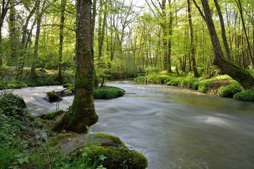 Upė,  Medžiai,  Pobūdį,  Kraštovaizdis