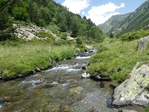 Upė,  Medžiai,  Kalnų,  Andora