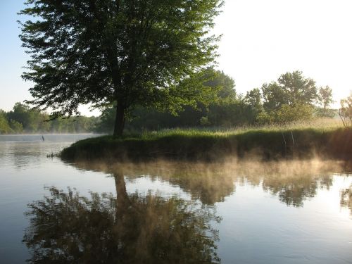 Upė, Atspindys, Vanduo, Rūkas, Vaizdingas, Gamta, Medis