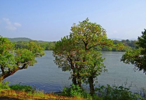 Upė, Kalis, Kalnai, Vakarų Gatas, Miškai, Vaizdingas, Kaiga, Karnataka, Indija