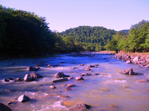 Upė, Gamta, Kutaisi, Imereti, Vanduo, Miškas, Kraštovaizdis, Lauke, Kelionė, Parkas, Natūralus, Vasara, Kalnas, Scena, Žalias, Medis, Srautas, Aplinka, Vaizdingas, Upelis, Sezonas, Kritimas, Rokas, Ruduo, Ramus, Mėlynas, Peizažas, Taikus, Šviežias, Šviesa, Vaizdas, Laukiniai