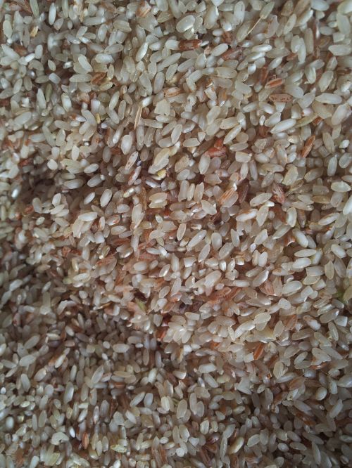 Ryžiai,  Madagaskaras,  Ryžiai