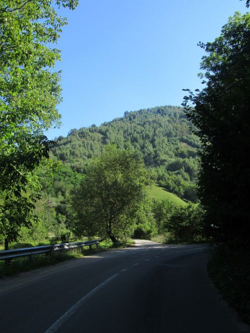 Kelias, Apuseno Kalnai, Transilvanija, Crisana, Romanija