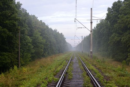 Kelias, Kelionė, Bėgiai, Būdas, Turizmas, Rūkas, Miškas