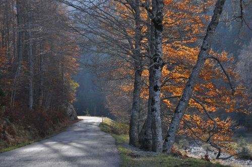 Kelias, Mažas Kalnas, Kritimas, Pyrénées, Ispanija, Huesca, Spalva