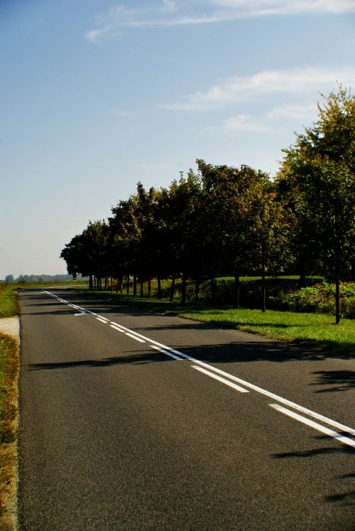 Kelias, Kraštovaizdis, Medis, Panorama, Gamta