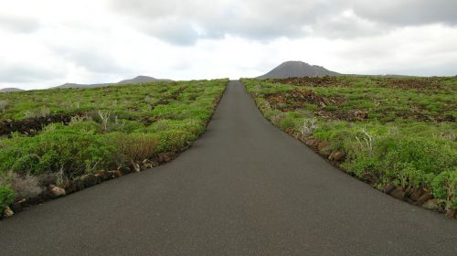 Kelias, Žalias, Kraštovaizdis, Kanarų Salos