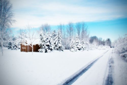 Kelias, Snieguotas Kelias, Žiema, Sniegas, Šalis, Gatvė