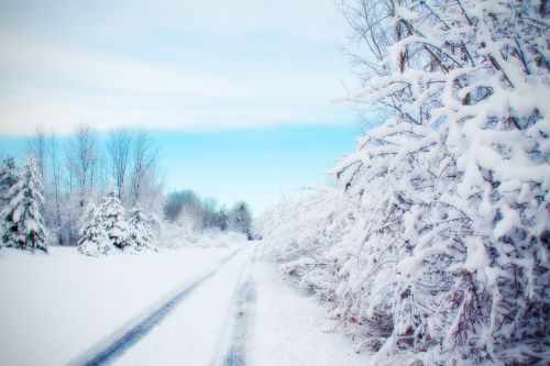 Kelias, Snieguotas Kelias, Žiema, Sniegas, Šalis, Gatvė
