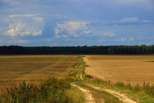 Kelias, Vasara, Rusija, Kraštovaizdis, Nuotrauka, Kaimas, Debesys, Vaizdas, Dangus, Debesis