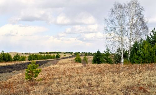 Kelias, Laukas, Dangus, Gamta, Geltona, Žolė, Sausas