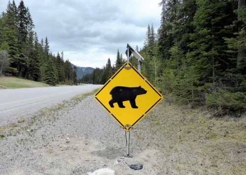 Kelio Ženklas, Įspėjimas, Turėti, Pavojus, Gamta, Nacionalinis Parkas, Kanada