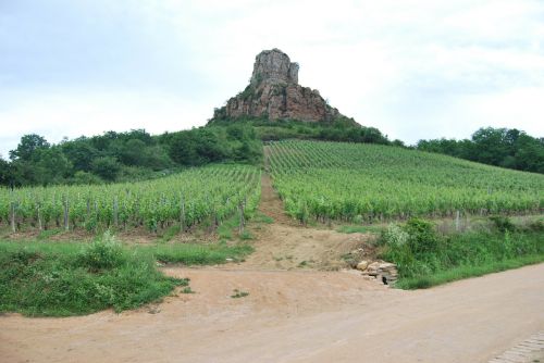 Rokas, Vynuogynas, Burgundija, Vynas, Žemdirbystė, Solutré, France