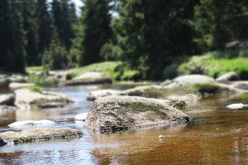 Rokas,  Akmuo,  Upė,  Lenkija