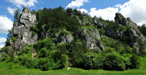 Akmenys, Dolina Kobylańska, Kraštovaizdis, Lenkija, Gamta, Jura Krakowsko Częstochowa