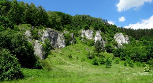 Akmenys, Dolina Kobylańska, Kraštovaizdis, Gamta, Lenkija, Žalias, Šventė, Jura Krakowsko Częstochowa