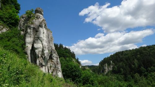 Akmenys, Kalkakmeniai, Kraštovaizdis, Gamta, Žygiai, Dolina Kobylańska, Lenkija, Jura Krakowsko Częstochowa