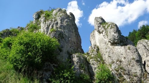 Akmenys, Kalkakmenis, Kraštovaizdis, Gamta, Lenkija, Turizmas, Žalias, Jura Krakowsko Częstochowa